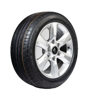 Llanta BRIDGESTONE POTENZA S001 245/45R19