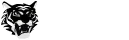 COSMO