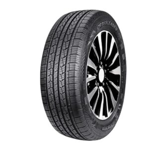 Llanta DOUBLE STAR LANDRIDER DS01 225/60R17